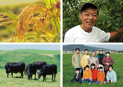 安心・安全な食品