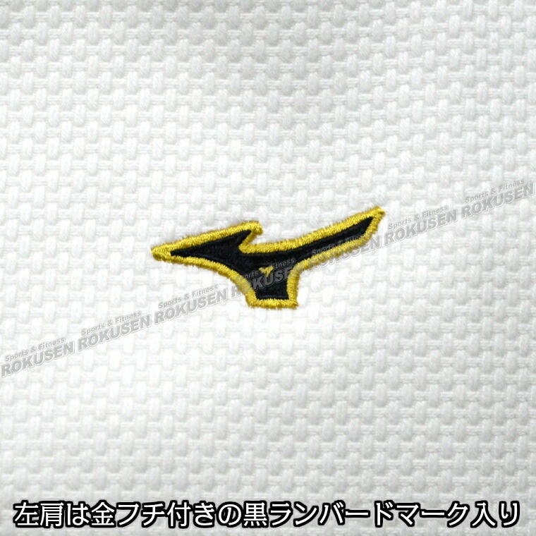 ��MIZUNO���ߥ��Ρ���ƻ�ۿ�IJF����ǧ���ƻ�塡ͥ��2nd AA1501