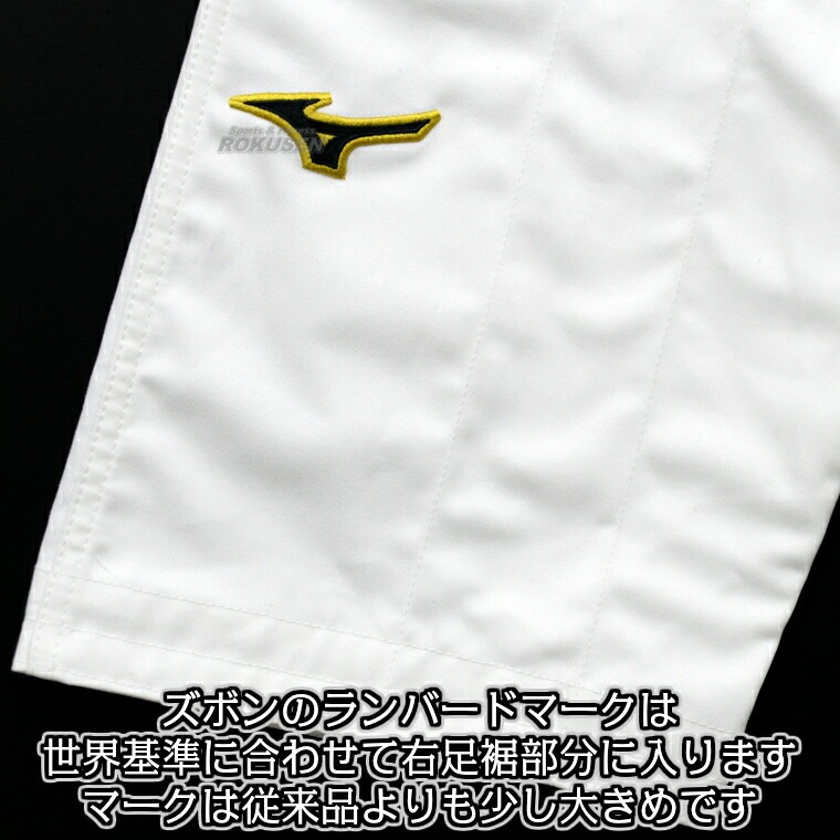 ��MIZUNO���ߥ��Ρ���ƻ�ۿ�IJF����ǧ���ƻ�塡ͥ��2nd AA1501