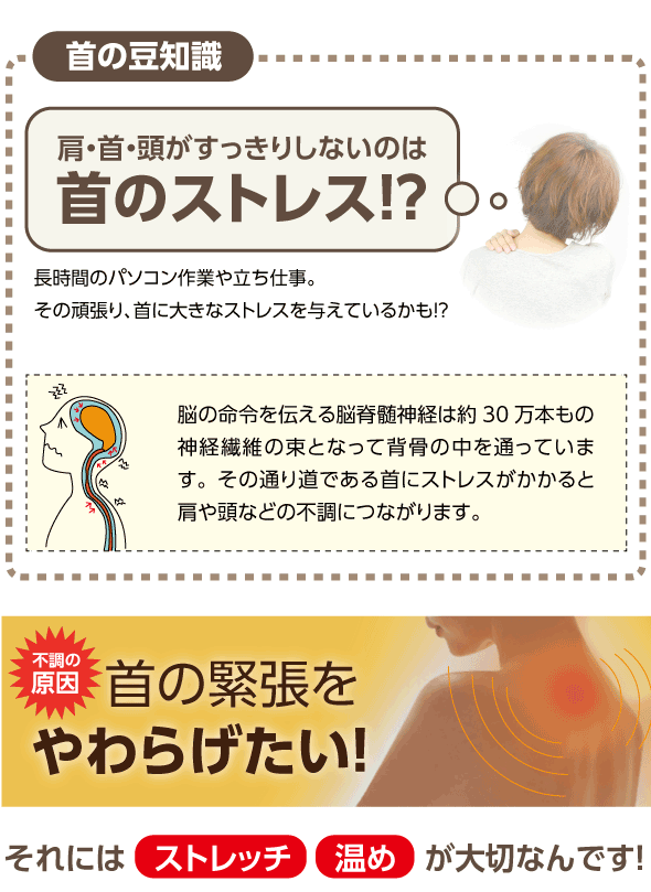 ホット首ストレッチャー 重たい肩もホッとじんわり温めながらストレッチ ストレッチ グッズ 柔道着 空手着通販 ろくせん