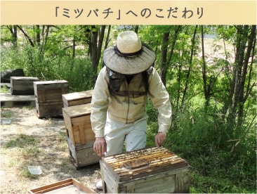 �֥ߥĥХ��פؤΤ������