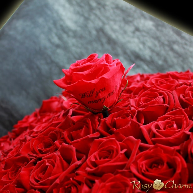 プロポーズに贈るバラの花束108本｜100本～本数選択可能【メッセージ