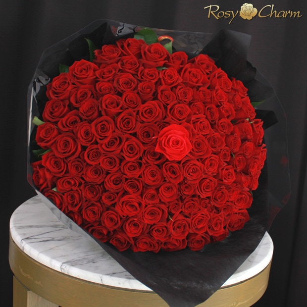 �Х�108�ܡå�å������ץꥶ���������֡����åϥ��֥�åɲ�«