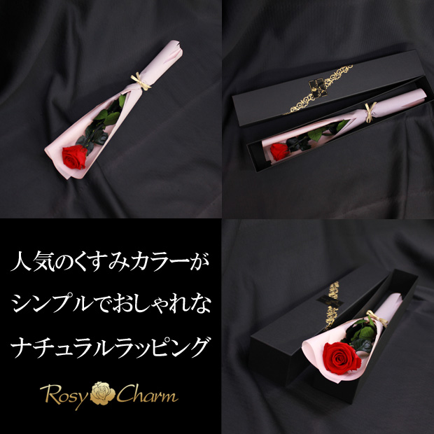 �Х���� Ȣ����åʥ������åԥ�