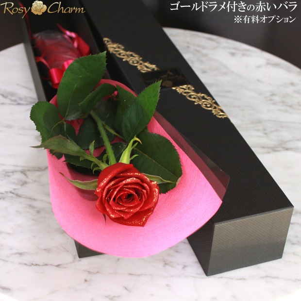 ������ɥ���դ����֤��Х��1�ܥܥå������ꥮ�ե�