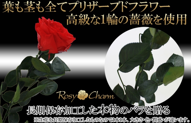 プリザーブドフラワー １輪のバラ【誕生日・記念日・プロポーズに贈るバラ】