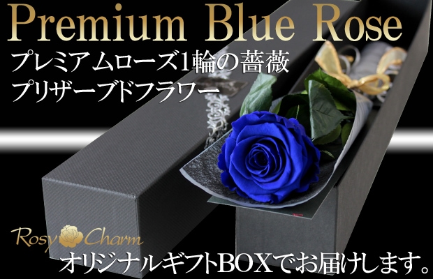 Meria Room ドライフラワー 1本薔薇の+rallysantafesinooficial.com