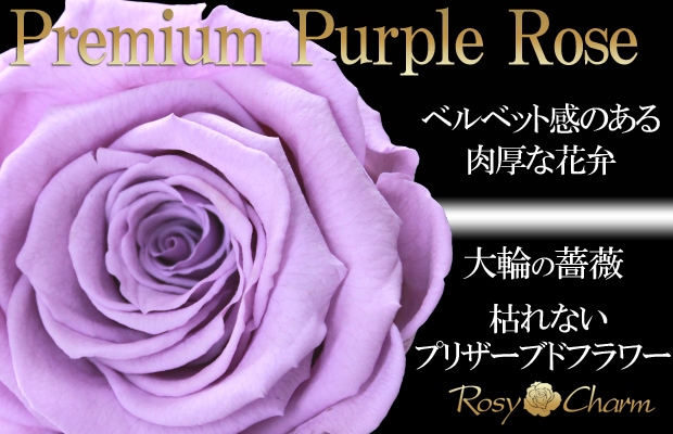 紫の薔薇 プレミアムローズ1本プリザーブドフラワー