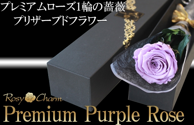 紫の薔薇 プレミアムローズ1本プリザーブドフラワー