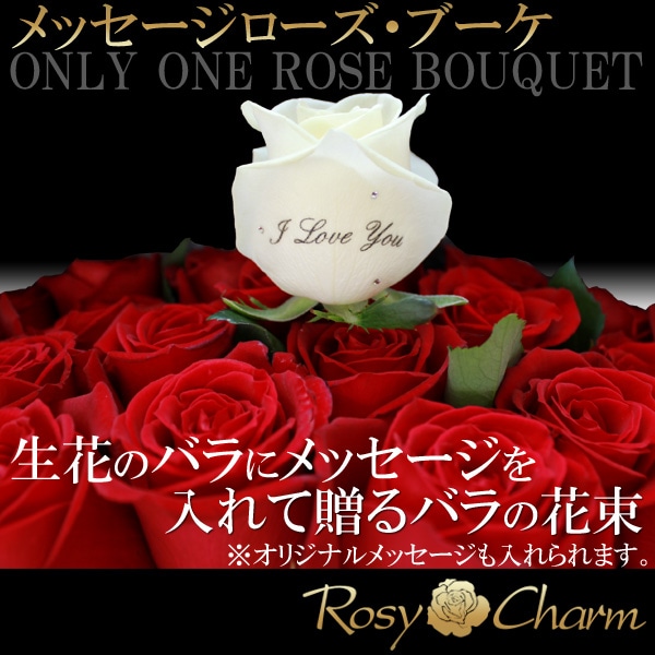 �֤Ӥ�˥�å������������£���«�å�å��������������֡���