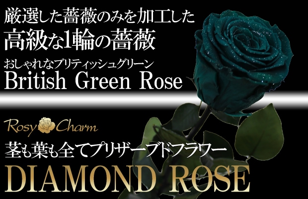 ダイヤモンドローズ緑の薔薇