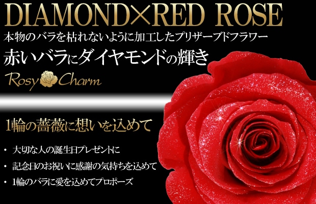 ダイヤモンドローズ 赤いバラ