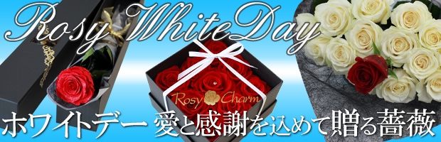 ホワイトデーに贈るバラ バラをプレゼント ロージーチャーム