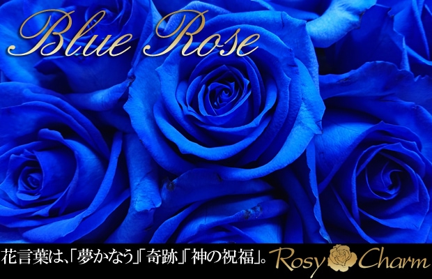 ロージーチャームの青いバラ