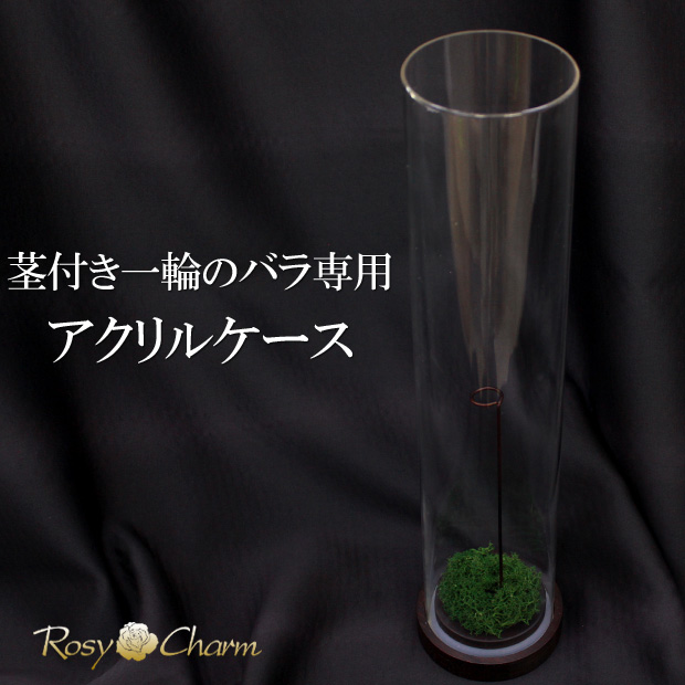 ������륷������ ��������դ��åХ���ܥǥ����ץ쥤��