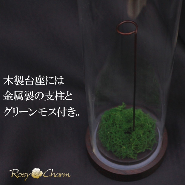 �Х�1�ܤ����륢����륱�����å��꡼��⥹�դ�