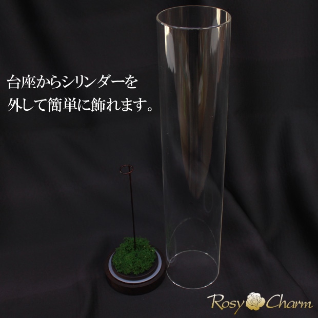 1�ܤΥХ���ñ�˾���륢����륱����