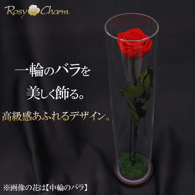 �Х���ܤ���륢����륱����