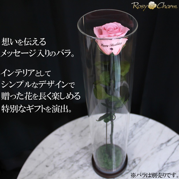 ���ؤΥХ����ѡåǥ����ץ쥤 ���ꥢ������