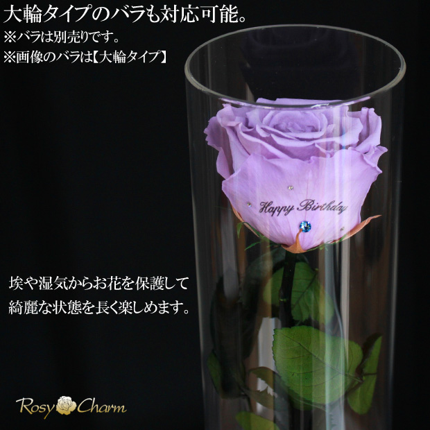 ��å���������ΥХ�åǥ����ץ쥤 ���ꥢ������