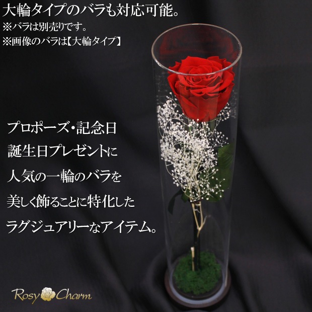 �Х���ܤ���륢����륱����