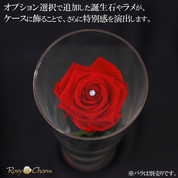 �����Ф����դ��ΥХ餬�Ǥ���ǥ����ץ쥤�ѥ�����륱����