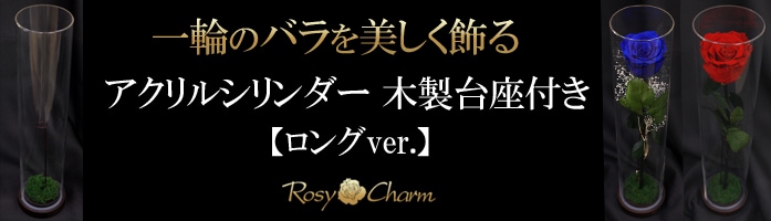 ������륷������ ��������դ��åХ���ܥǥ����ץ쥤��