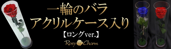 �Х���إ�����륱��������åץ��ݡ��� ��ǰ�� �������ץ쥼��Ȥβ�	 ��¸