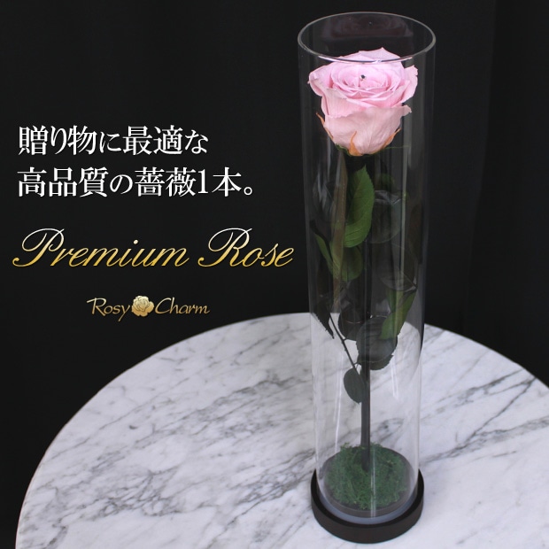 ���ʼ� ���ؤΥԥ󥯤ΥХ�åץꥶ���֥ɥե�1��
