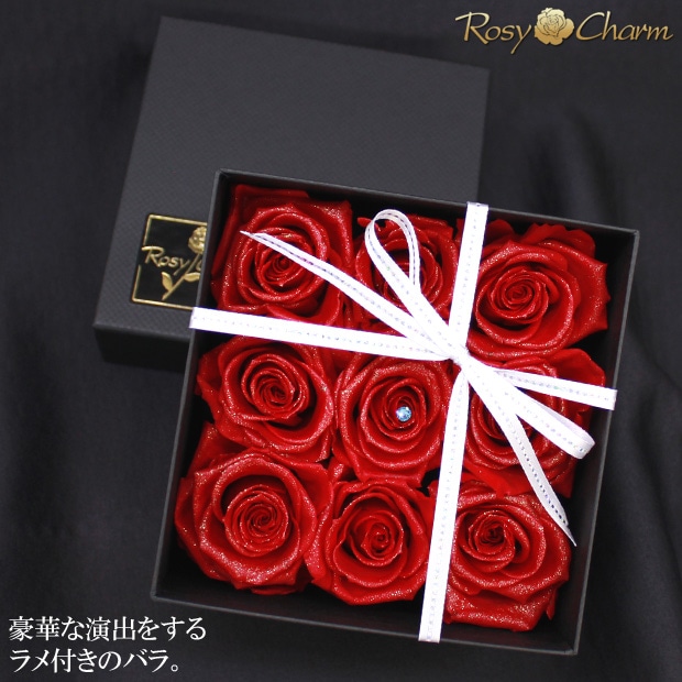 饭鵱ХΥץꥶ֥ɥե9إܥåե