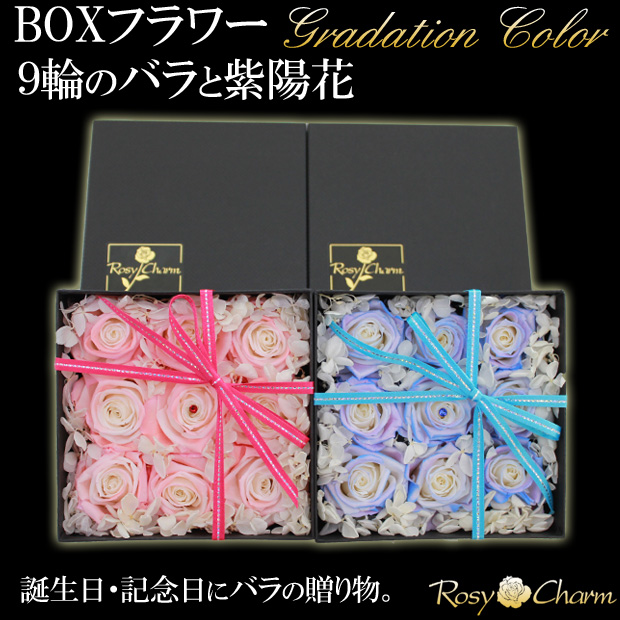 �Х�Υץꥶ���֥ɥե��åܥå��������