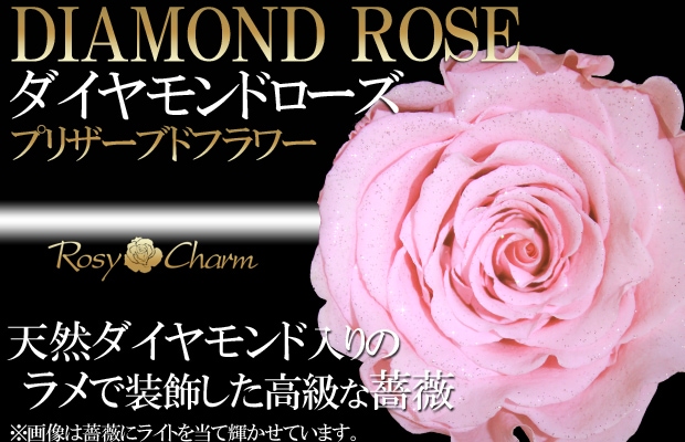 ダイヤモンドローズ ピンクのバラ