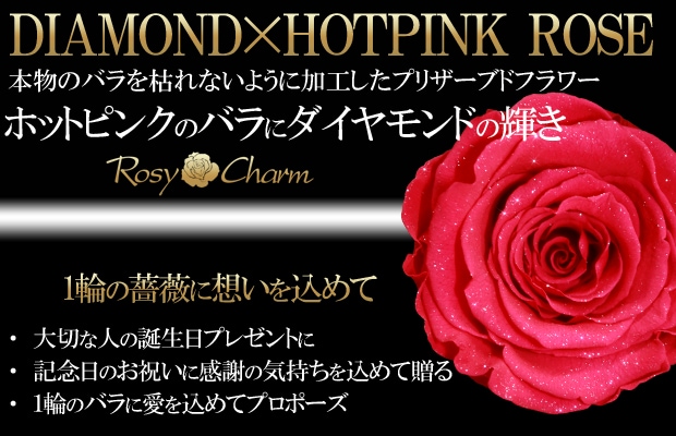 ダイヤモンドローズ｜ホットピンクの薔薇