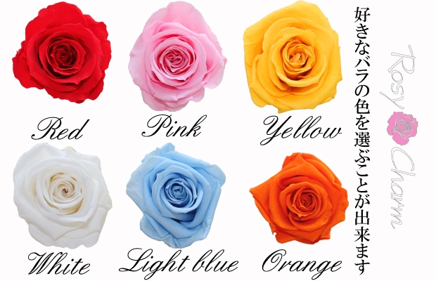 薔薇のプリザーブドフラワー 色の選択可能