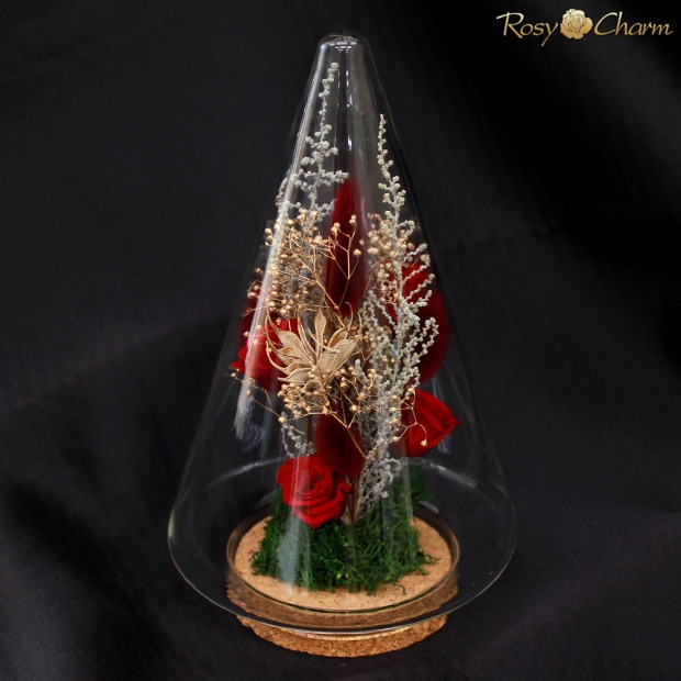 ꥹޥĥ꡼ 饹ɡ ץꥶ֥ɥե ֤Х