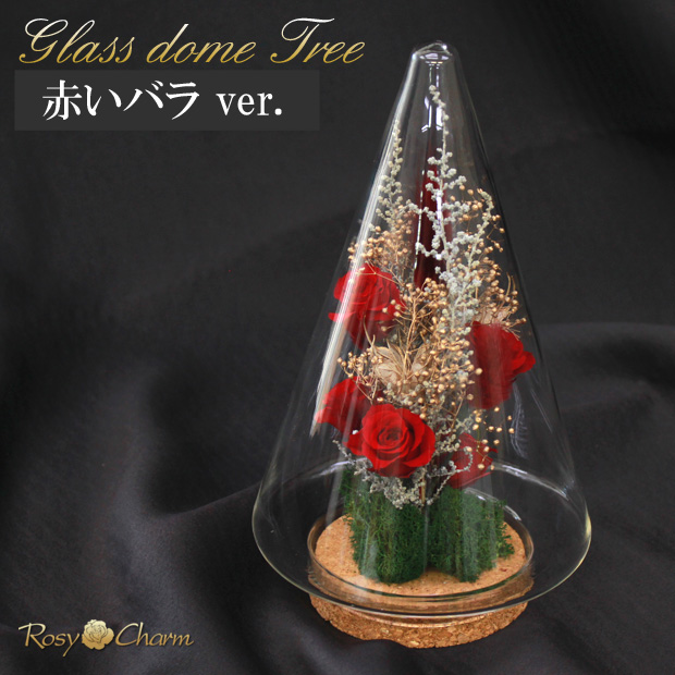 ڤηΥ饹ɡåХΥץꥶ֥ɥե