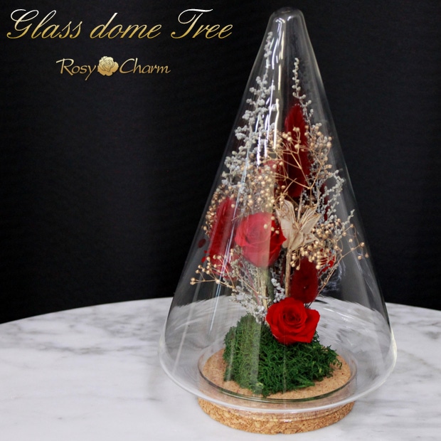 ХΥץꥶ֥ɥեե