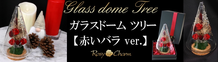 ץꥶ֥ɥե 饹ɡ ĥ꡼ڥꥹޥ ֤Х ver.