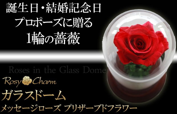ガラスドーム　1本のバラ　プリザーブドフラワー