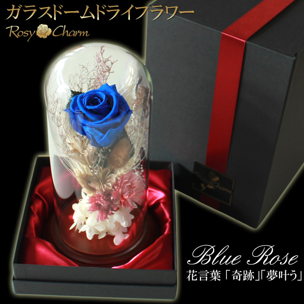 �Ĥ��Х�åץꥶ���֥ɥե�