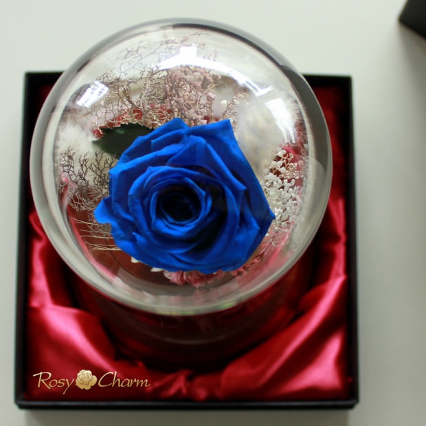 �Ĥ��Х�òָ��� ���� ̴��