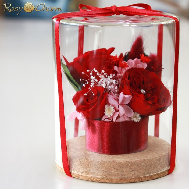 ץꥶ֥ɥե 饹ɡ֤Х3ؤΥХ