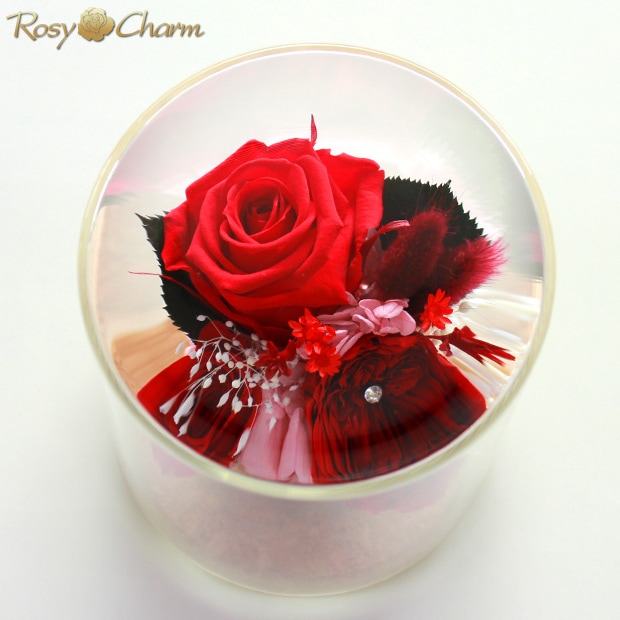 ץꥶ֥ɥե 饹ɡ 