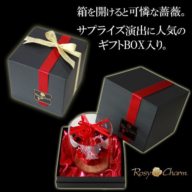 եȥܥåå饹ɡ ɥ饤ե