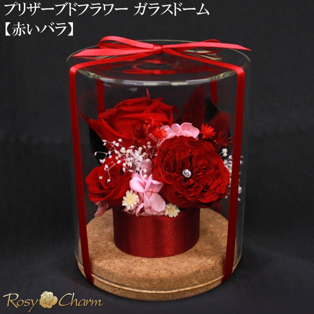 ץꥶ֥ɥե 饹ɡ 