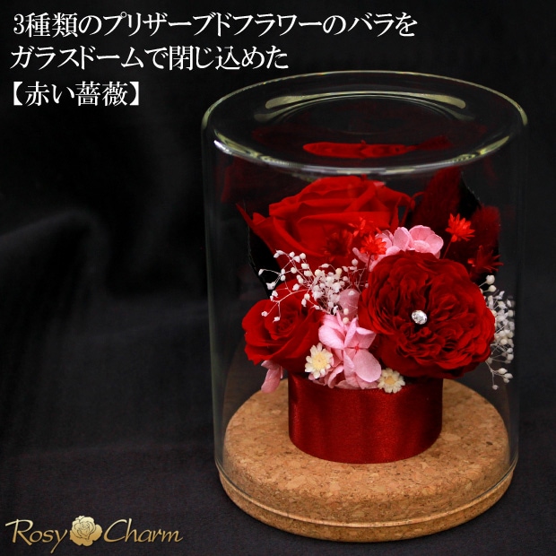 3ؤΥХ ץꥶ֥ɥե 饹ɡ