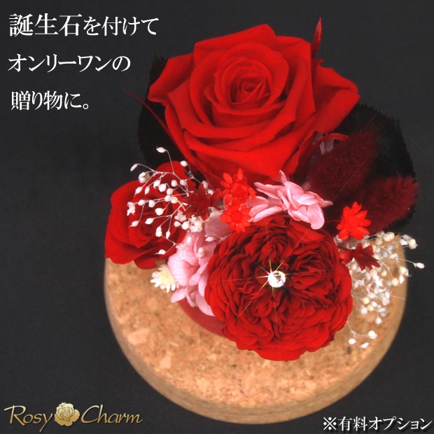 դ Х ץꥶ֥ɥե