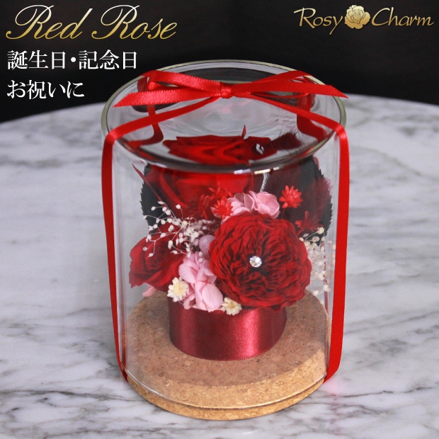 ץꥶ֥ɥե 3ؤΥХ 饹ɡ