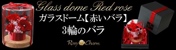 ץꥶ֥ɥե 饹ɡ֤Х3ؤ