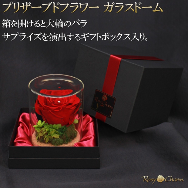 ��饮�ե�Ȣ������֤��Х顡�ץꥶ���֥ɥե�